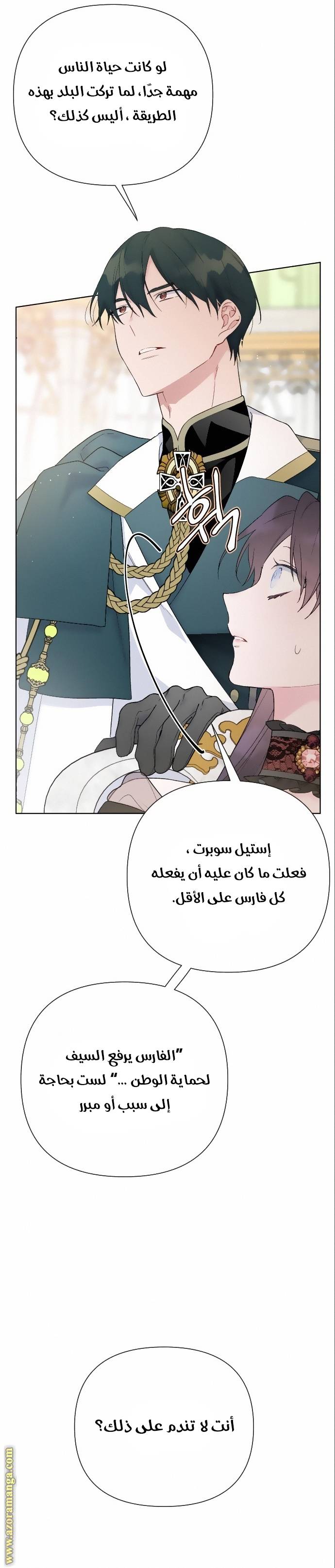 الصفحة 26