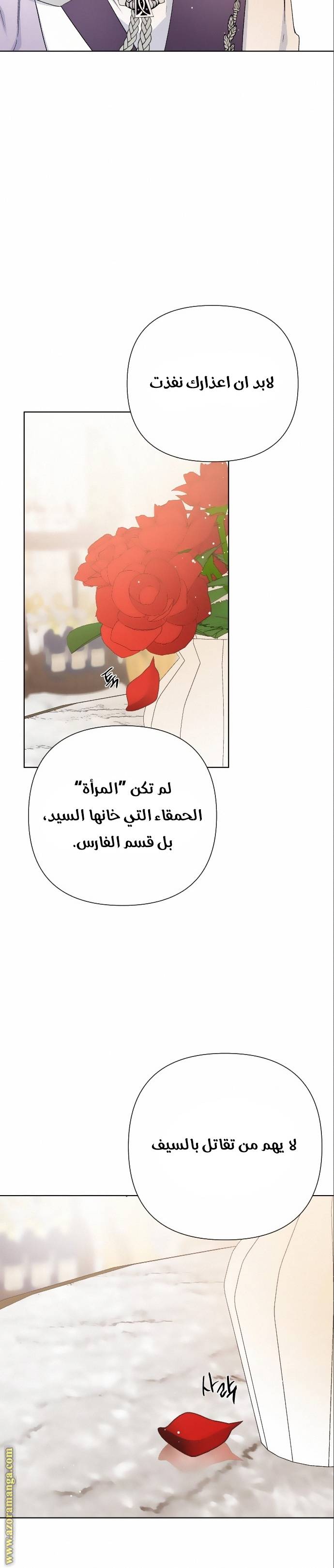 الصفحة 28
