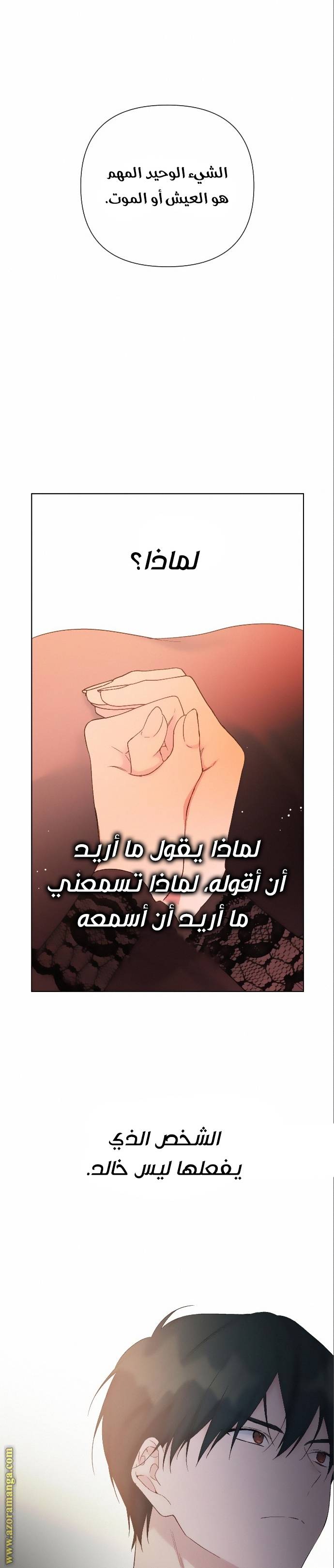الصفحة 29