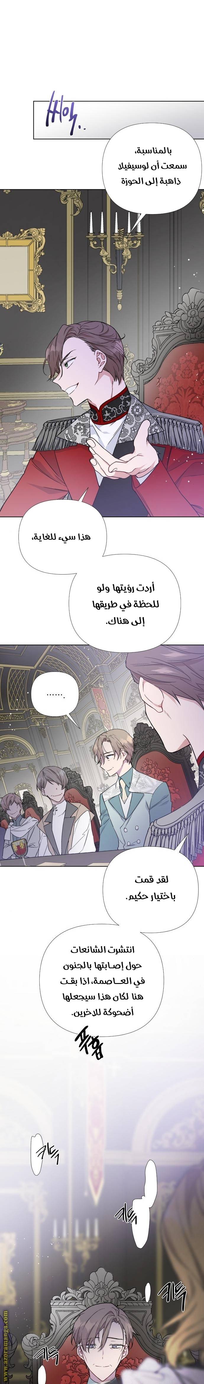 الصفحة 17