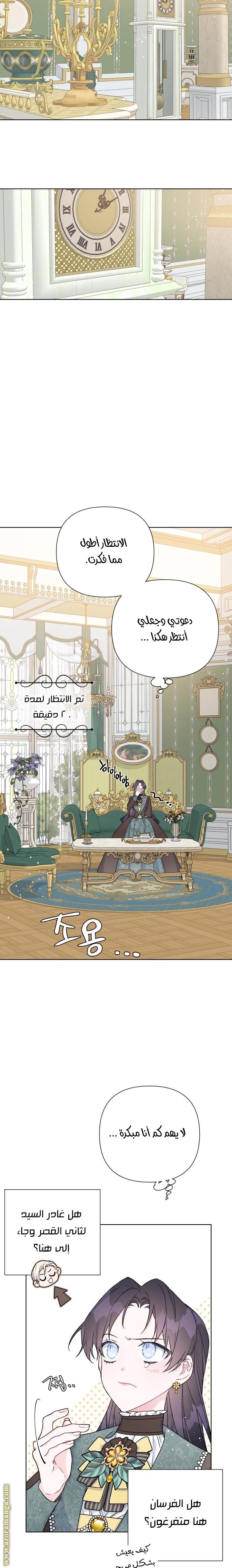 الصفحة 17