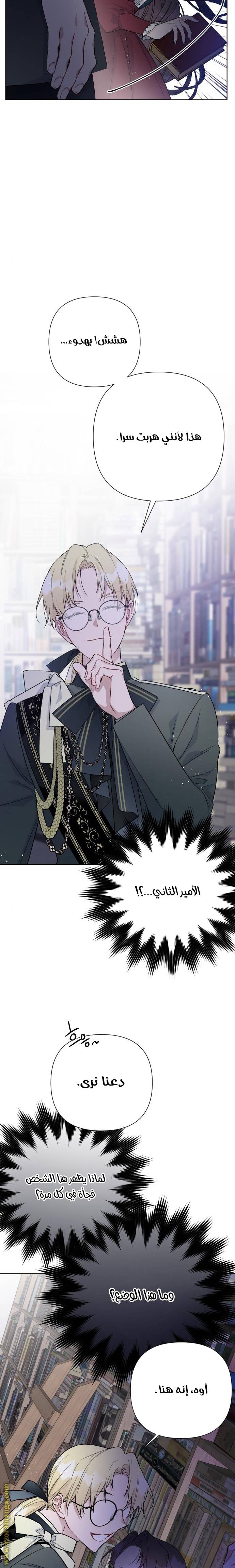 الصفحة 17
