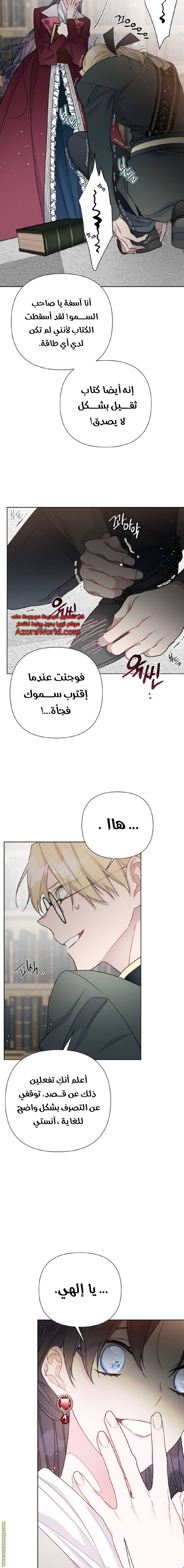 الصفحة 13