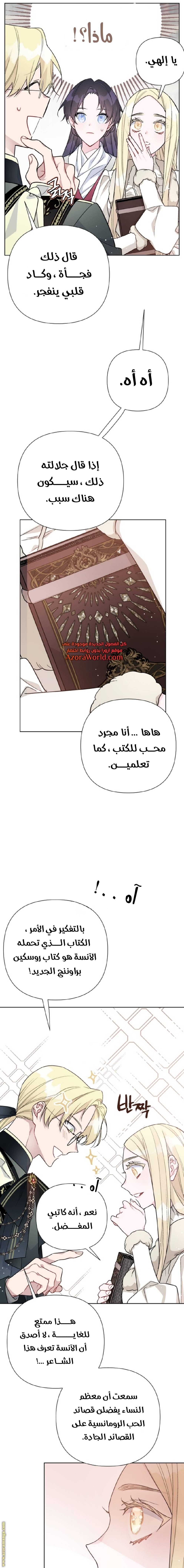 الصفحة 17