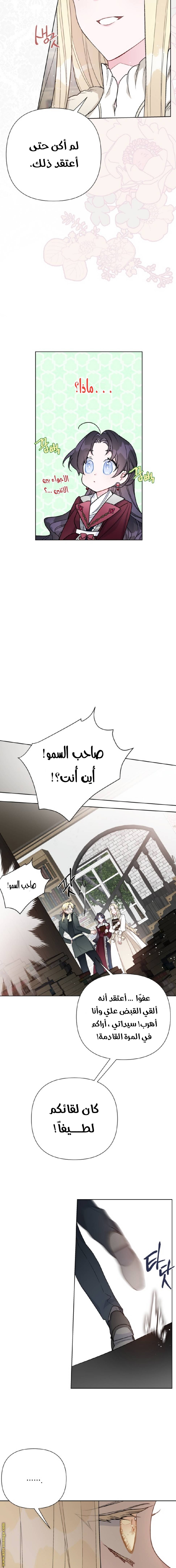 الصفحة 19