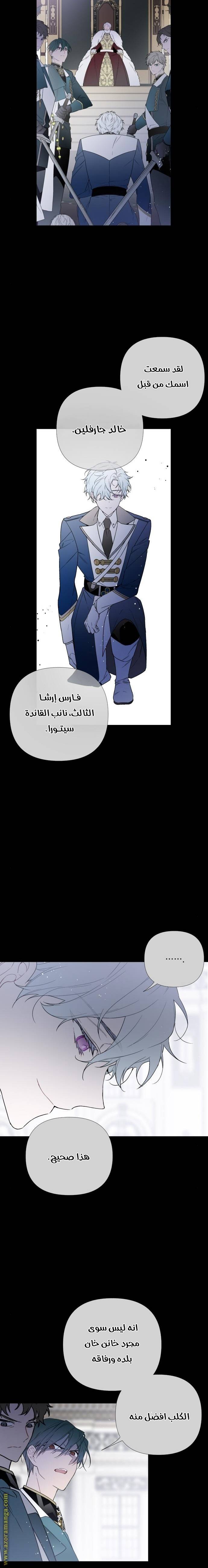 الصفحة 10