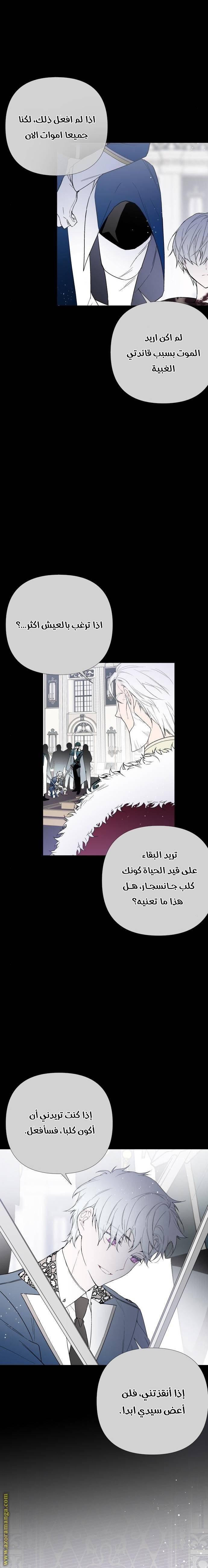 الصفحة 11