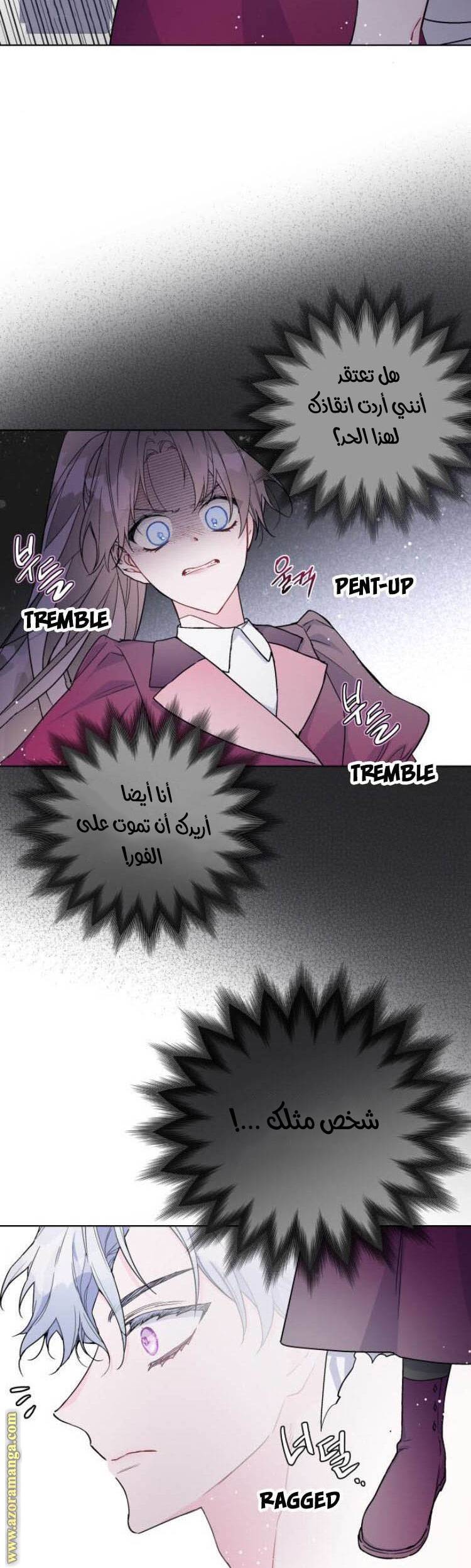 الصفحة 16