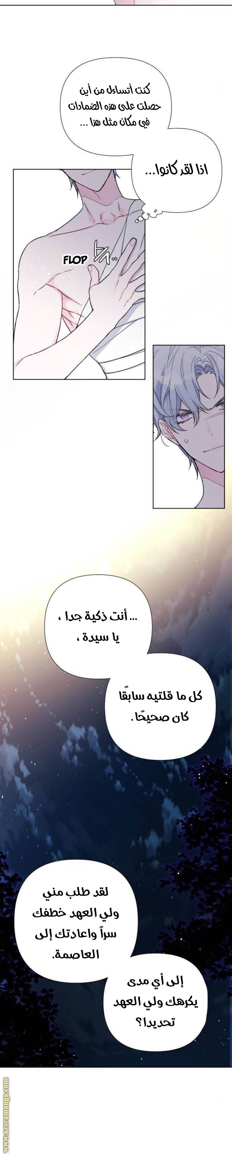 الصفحة 17