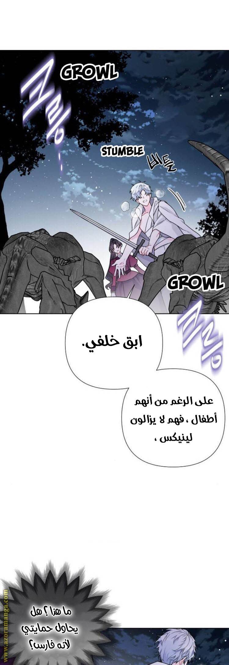 الصفحة 21