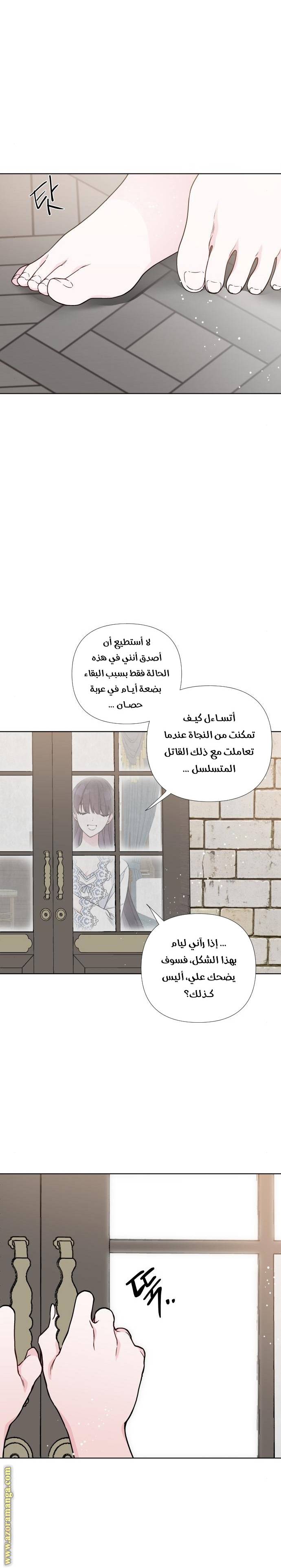 الصفحة 11