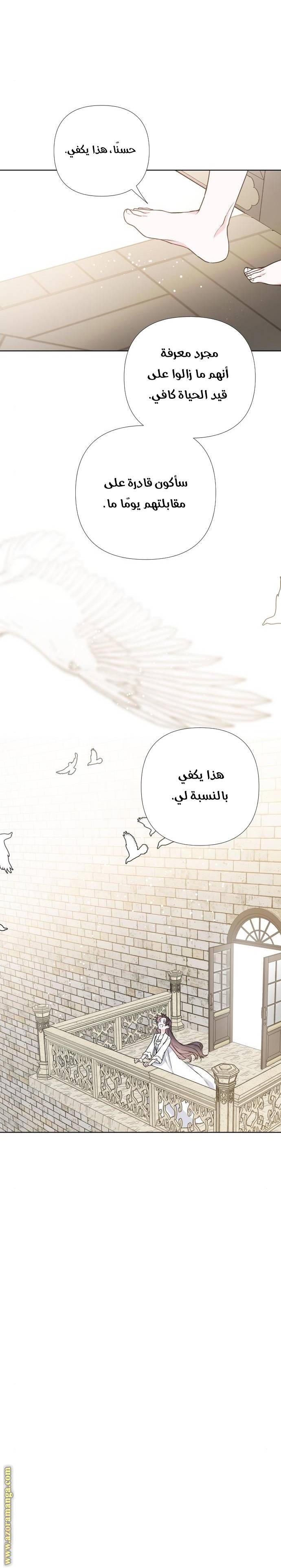 الصفحة 13