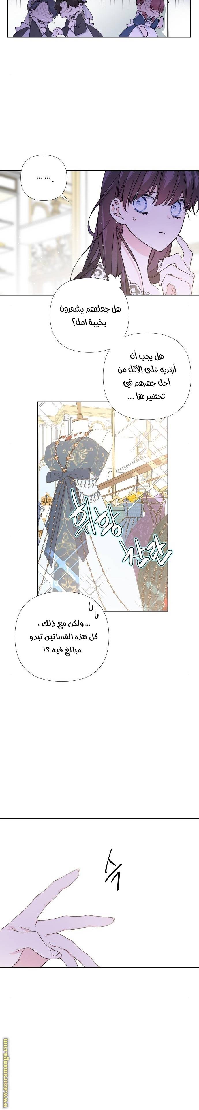 الصفحة 17