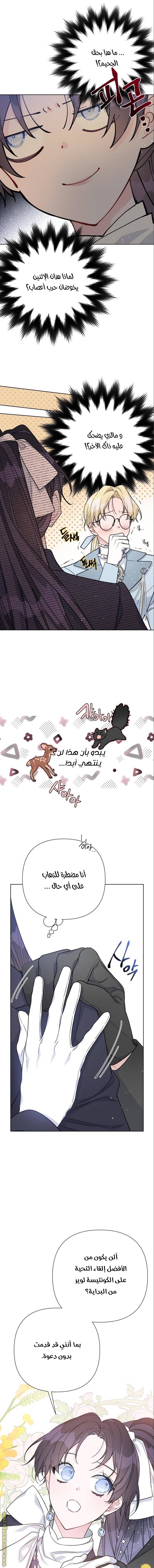الصفحة 7