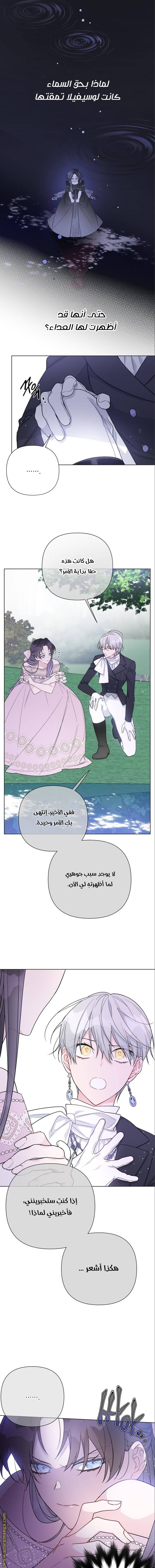 الصفحة 13