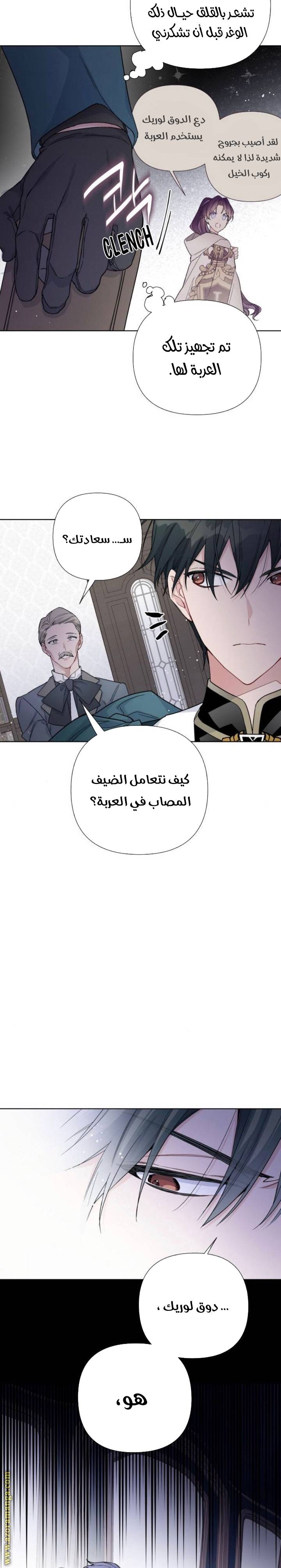 الصفحة 13