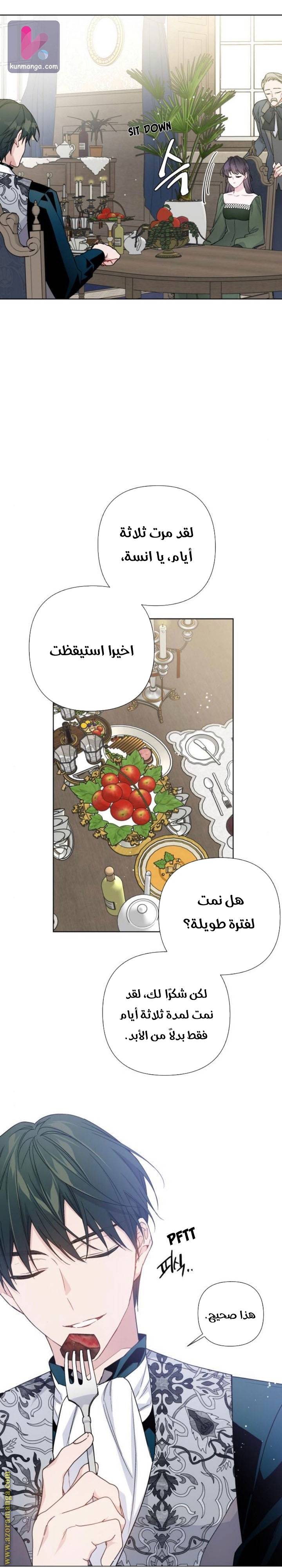 الصفحة 15