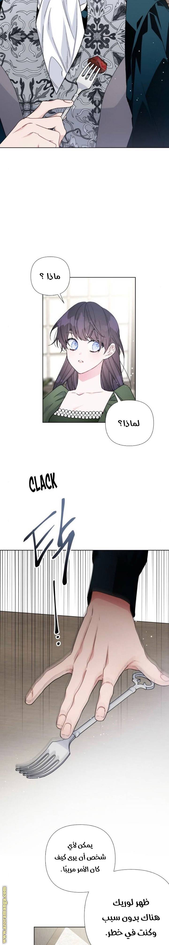 الصفحة 17