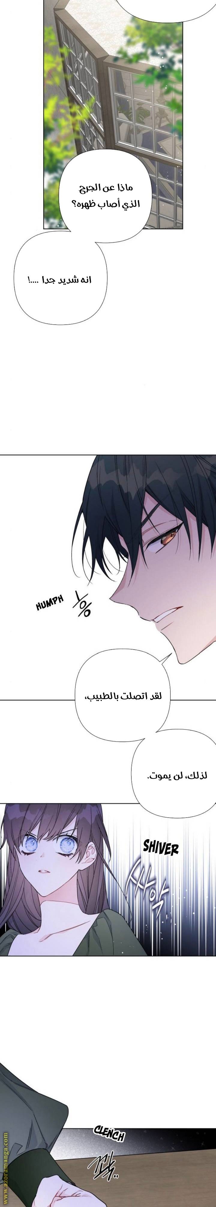الصفحة 18
