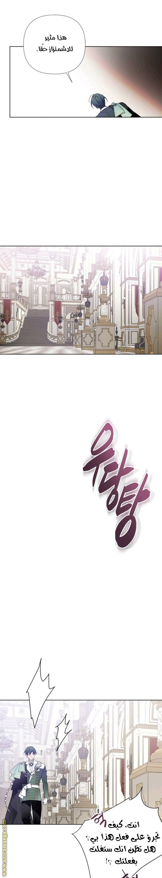 الصفحة 12