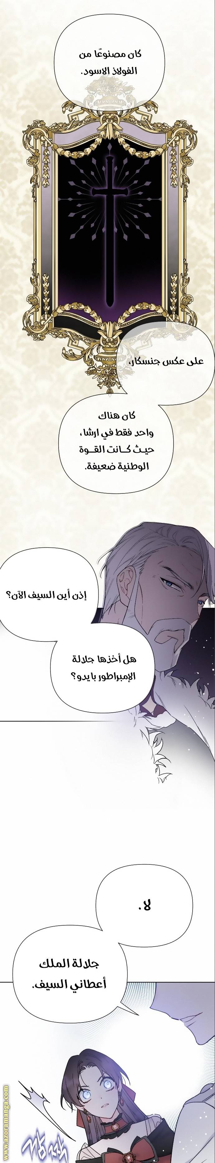 الصفحة 17