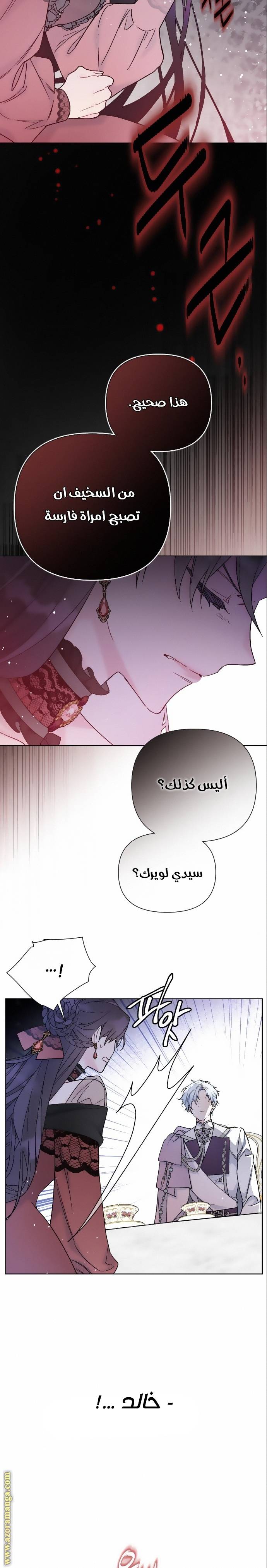 الصفحة 24