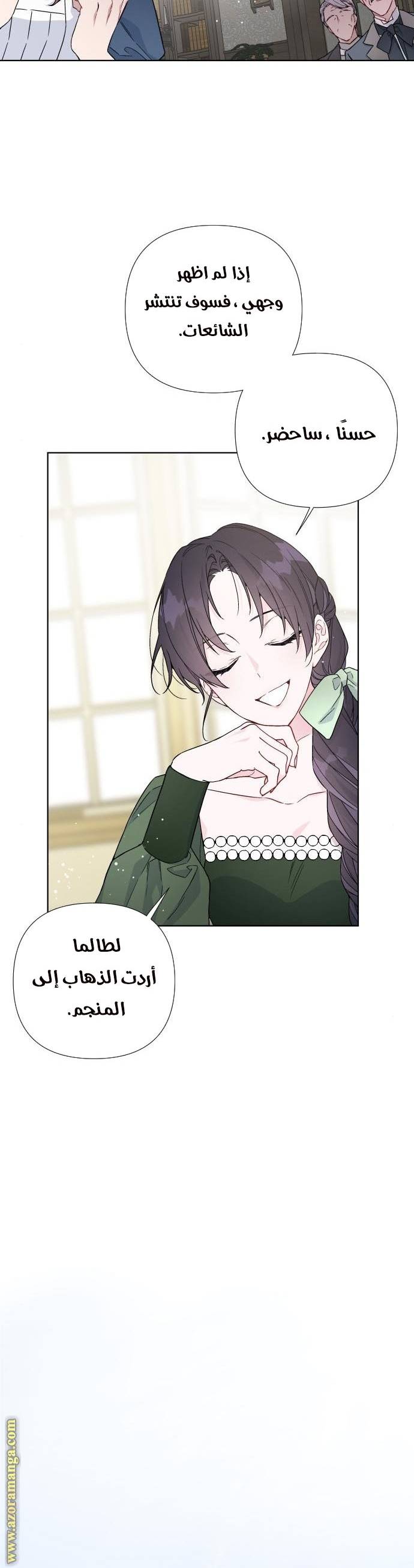 الصفحة 17