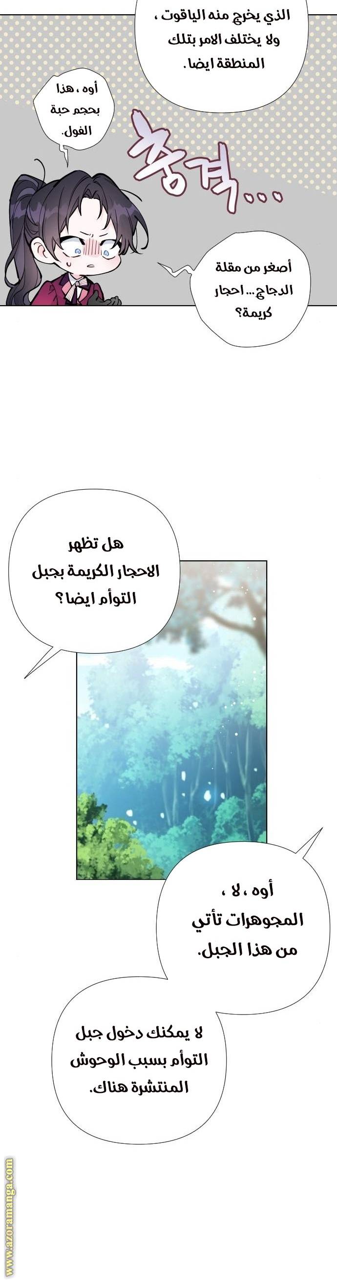 الصفحة 21