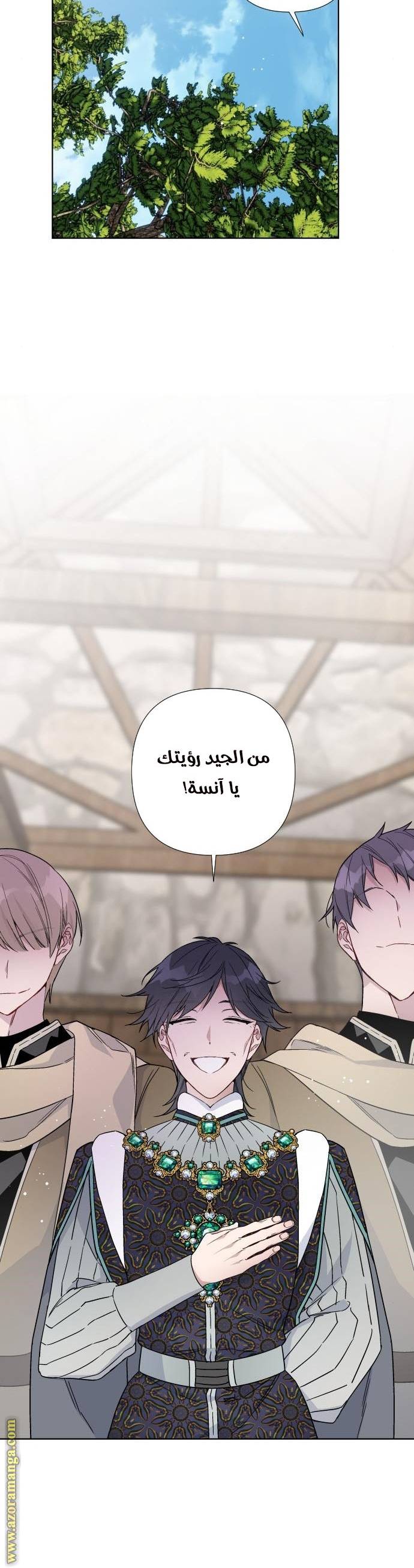 الصفحة 24