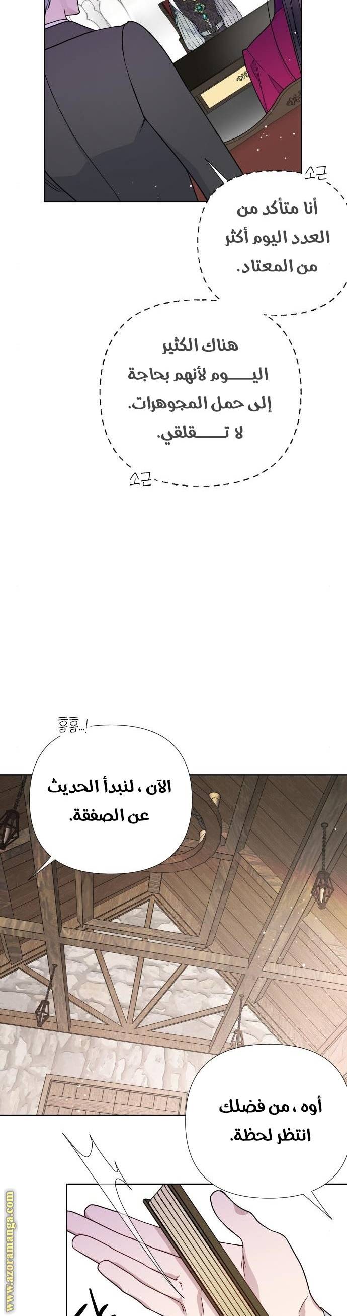 الصفحة 29