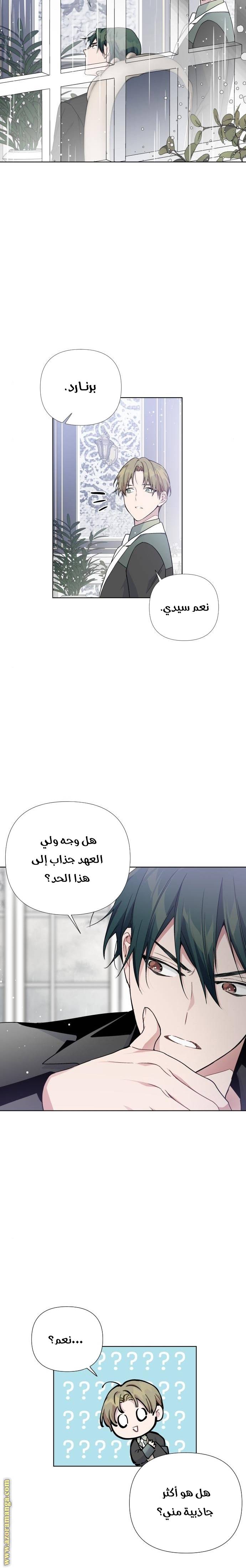 الصفحة 21