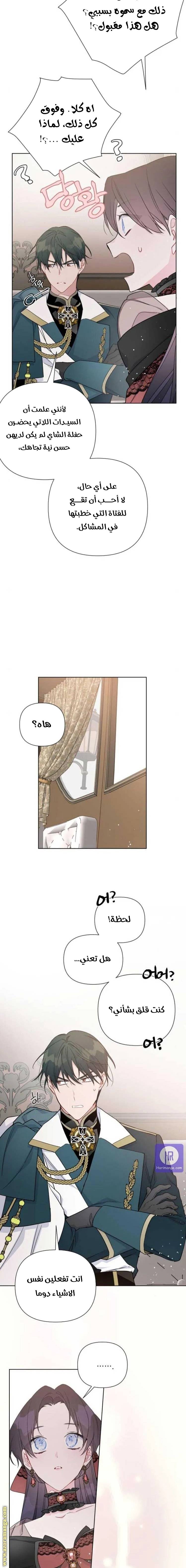 الصفحة 7