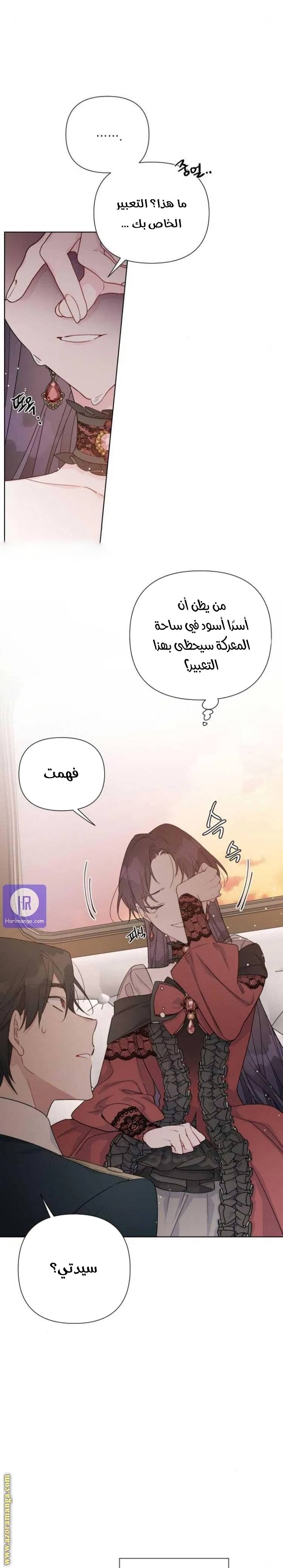 الصفحة 17