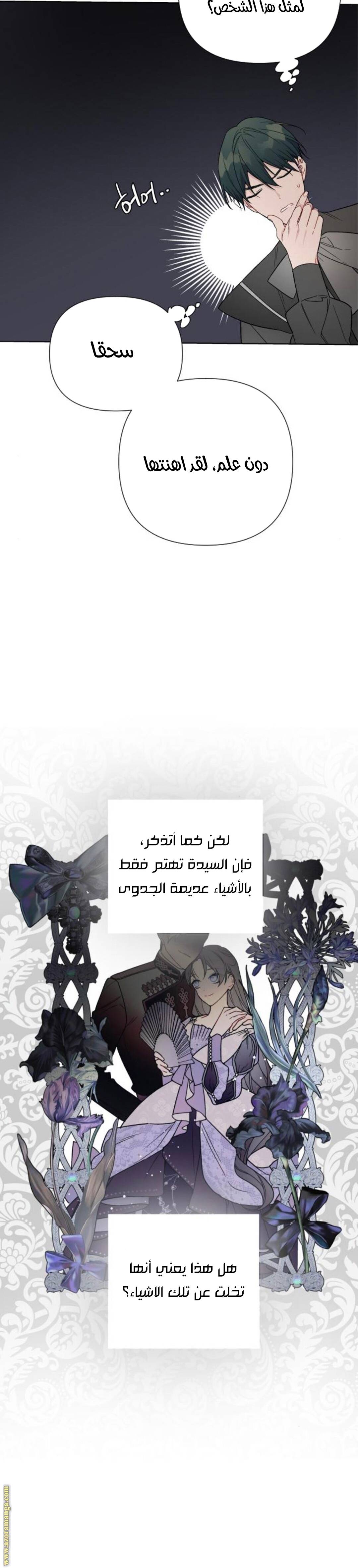 الصفحة 17