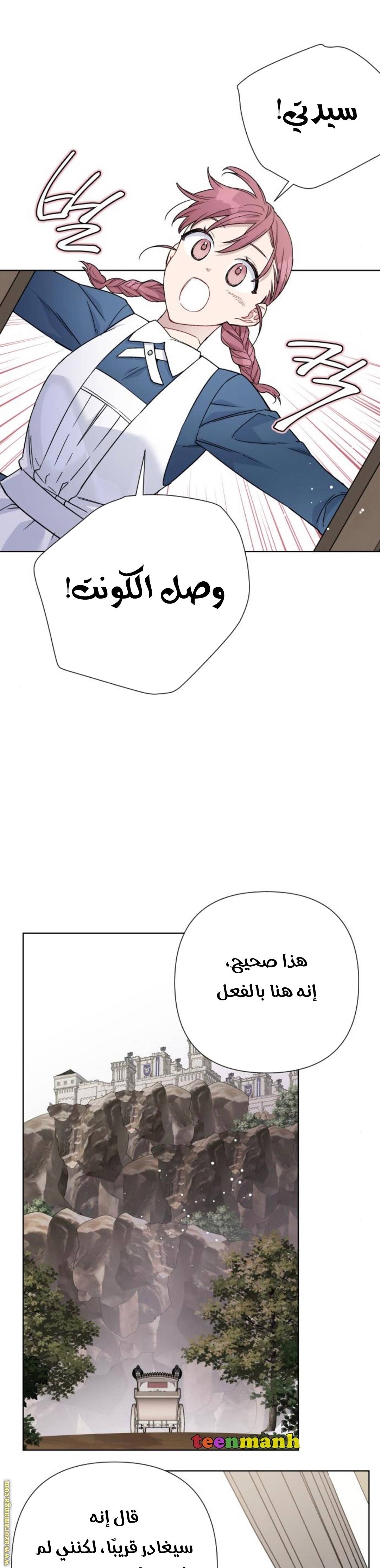 الصفحة 20
