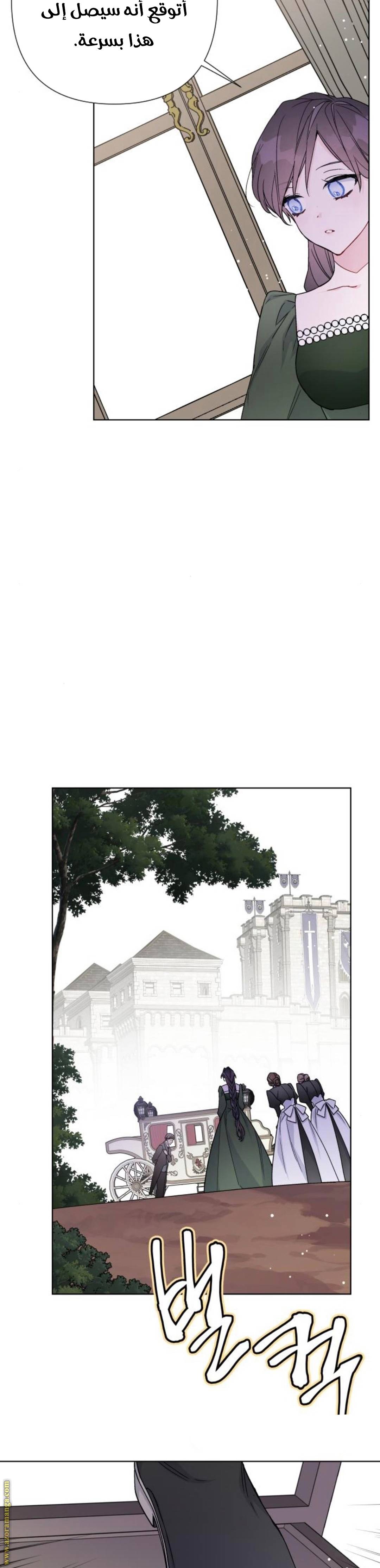 الصفحة 21