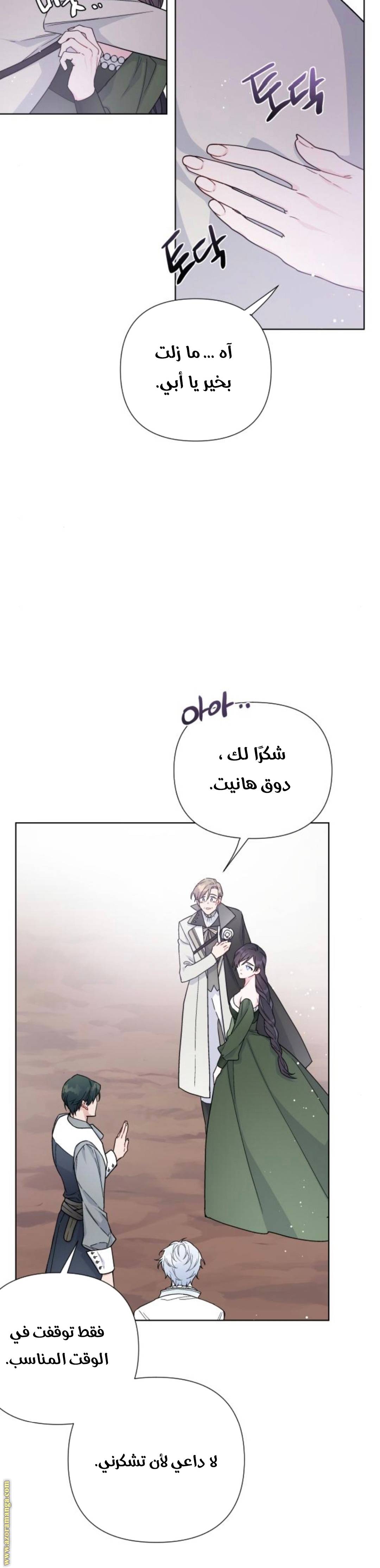 الصفحة 24