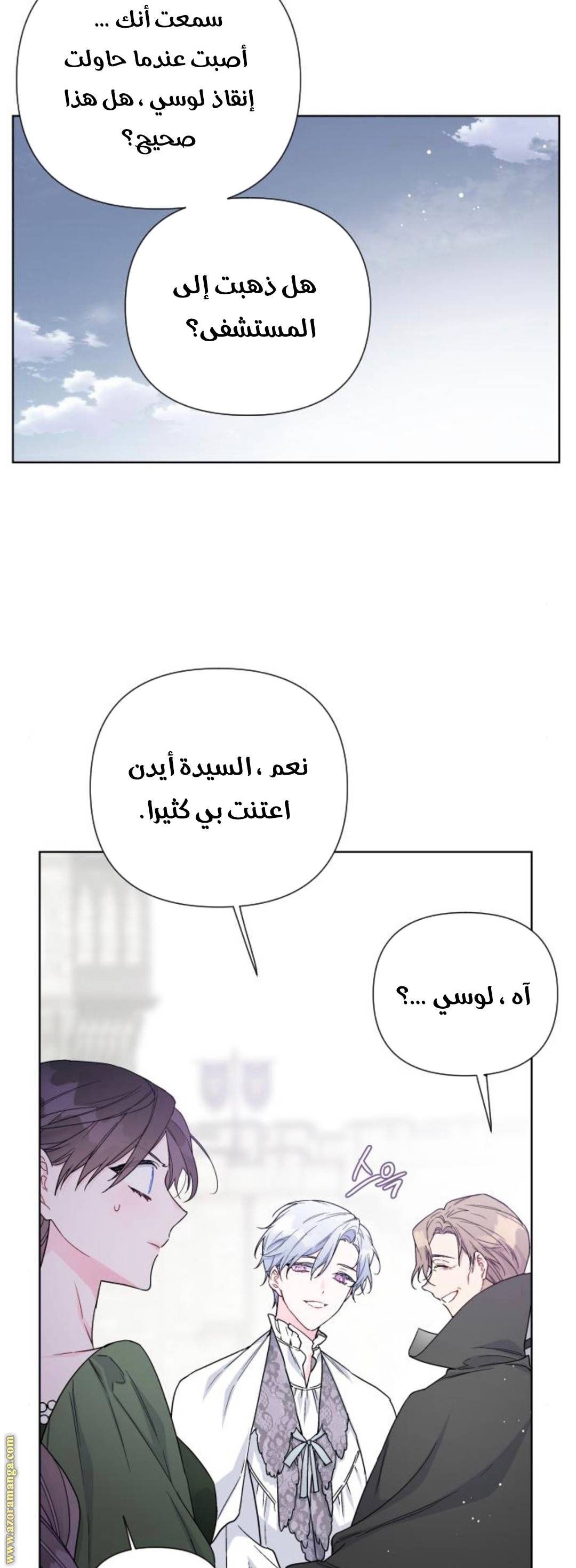 الصفحة 27