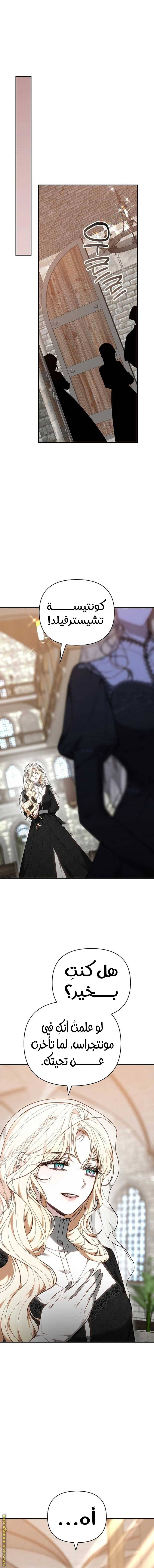 الصفحة 9