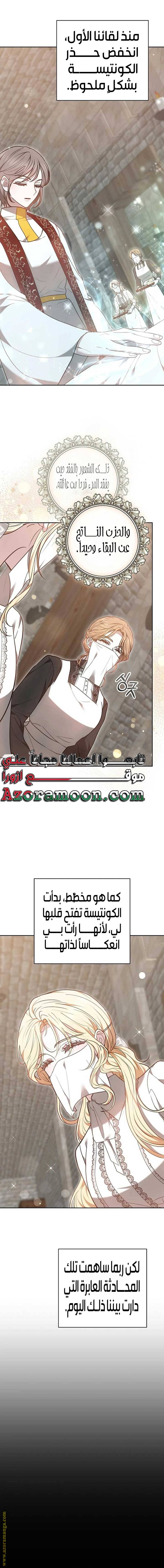 الصفحة 17