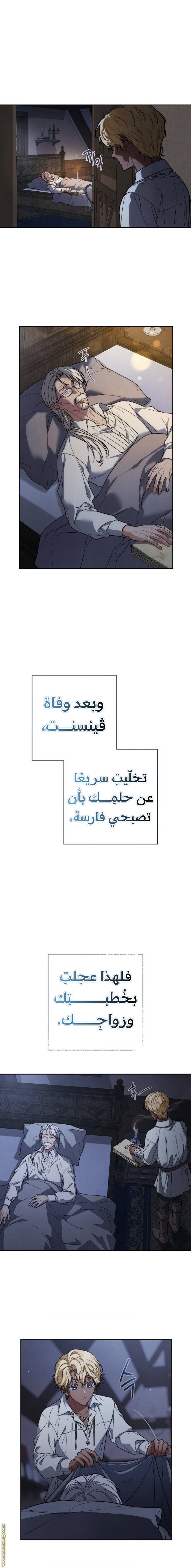 الصفحة 3