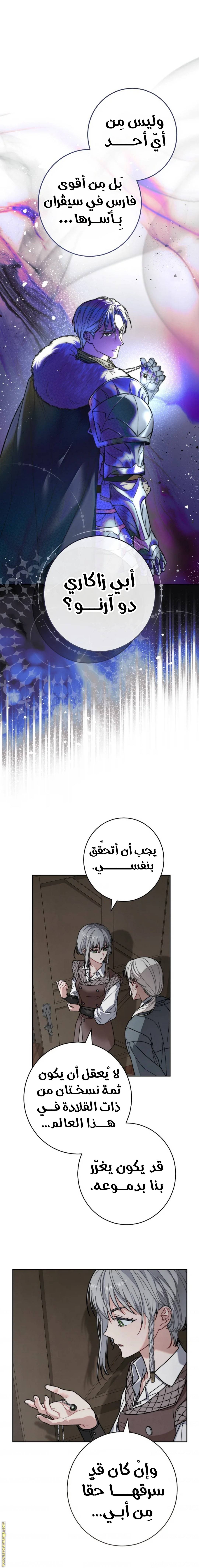 الصفحة 17