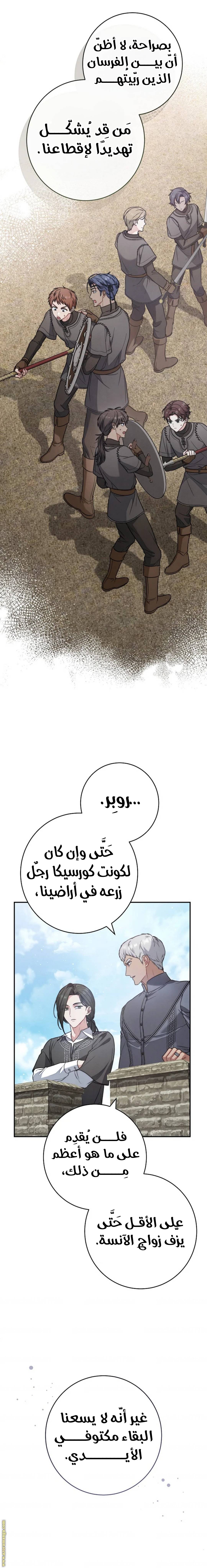 الصفحة 13