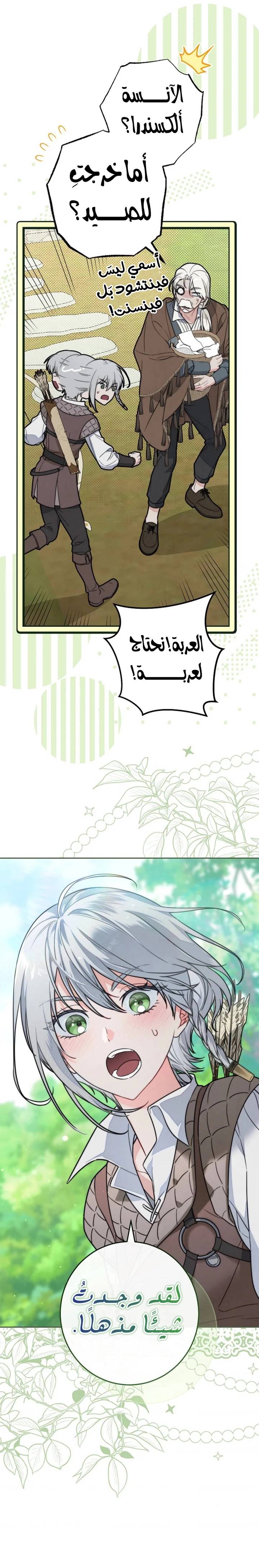 الصفحة 20