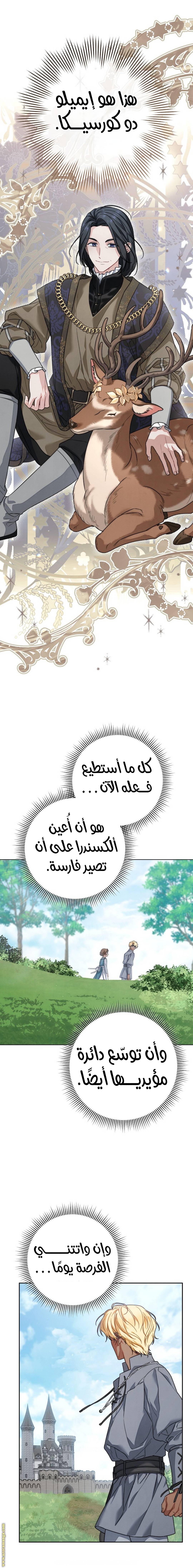 الصفحة 15