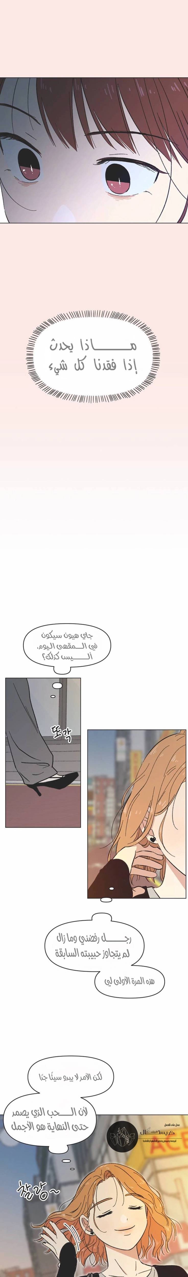 الصفحة 13