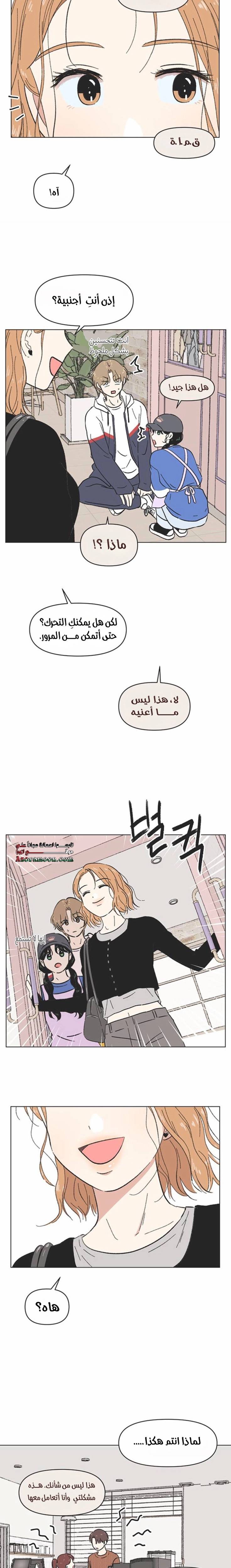الصفحة 16