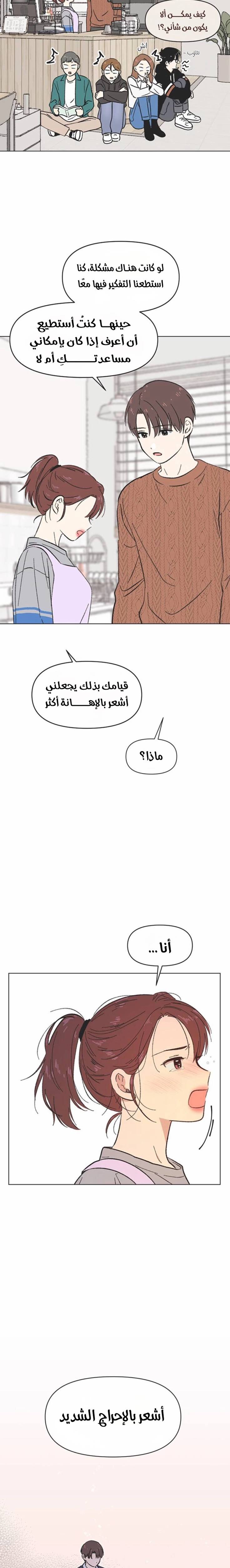 الصفحة 17