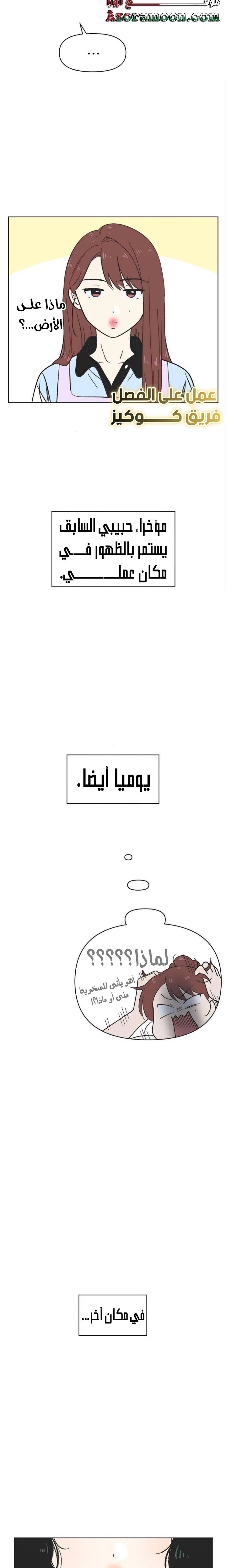 الصفحة 17