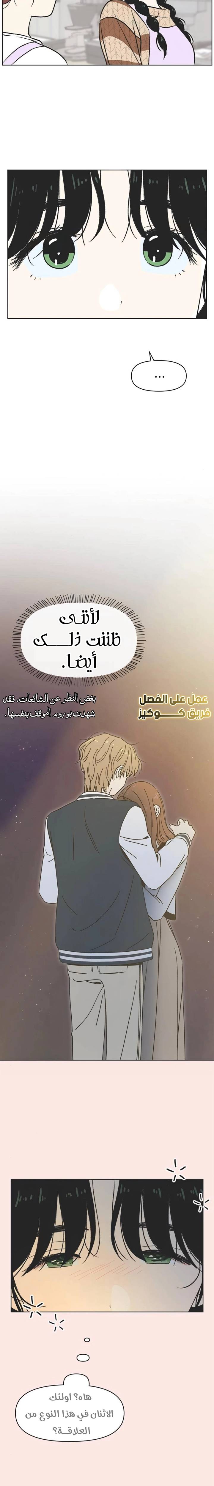 الصفحة 17